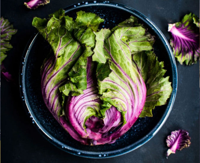 Natural & Practical Ways to Cleanse Body & Mind