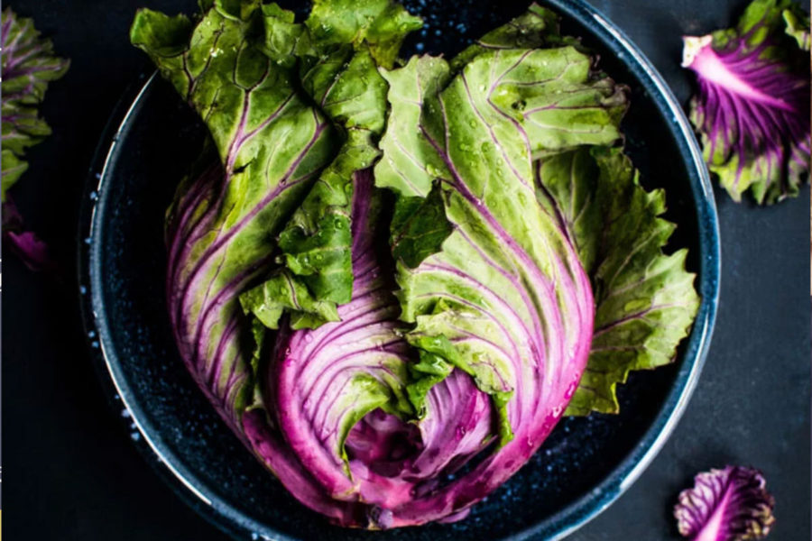 Natural & Practical Ways to Cleanse Body & Mind