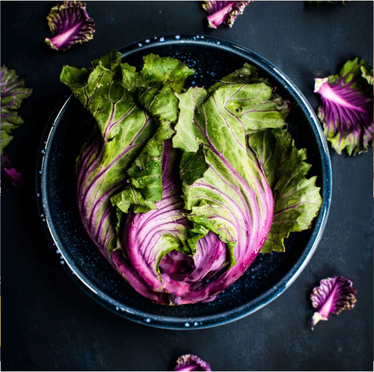 Natural & Practical Ways to Cleanse Body & Mind